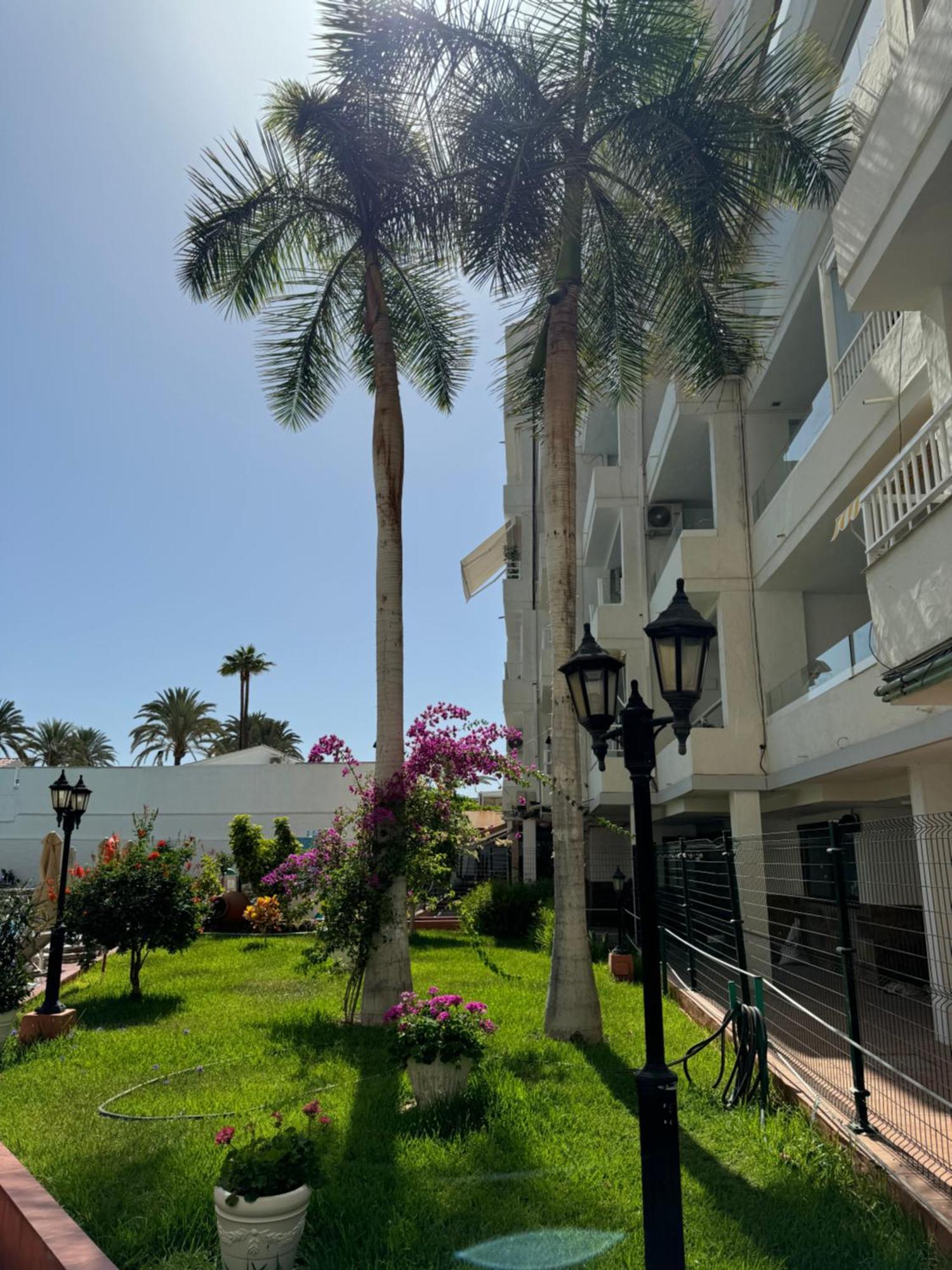 Apartamento Reformado En Apartamentos Tanife, Playa Del Ingles Сан-Бартоломе Экстерьер фото