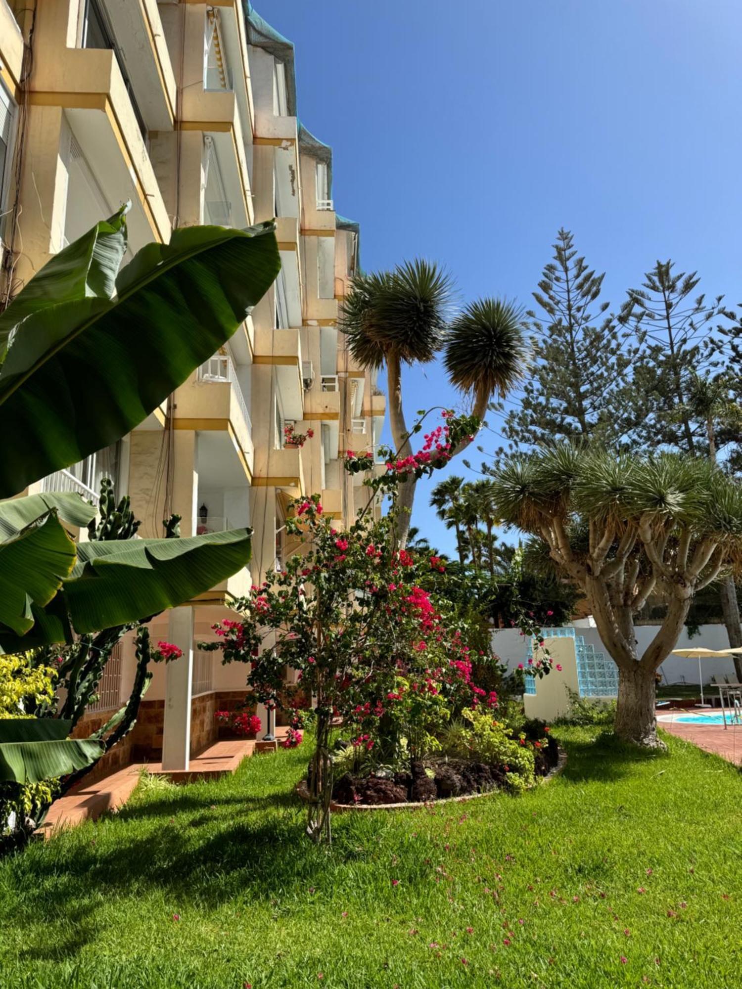 Apartamento Reformado En Apartamentos Tanife, Playa Del Ingles Сан-Бартоломе Экстерьер фото